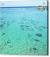 Clear Blue Tropical Water Of A Coral Acrylic Print