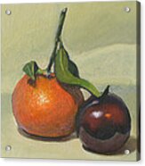 Clementine And Plum Acrylic Print