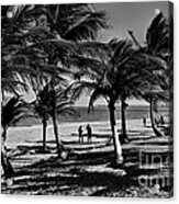 Coconut Trees On A Typical Bahia Beach Acrylic Print