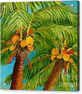 Coco's In The Keys - Key West Palm Tree With Coconuts Acrylic Print