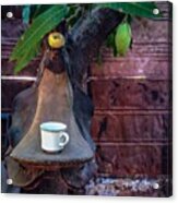 Coffee Table Under A Mango Tree. Wayuu Acrylic Print
