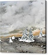 Norris Geyser Basin  Cold And Hot Trees Acrylic Print