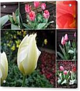 Collage Tulips Acrylic Print