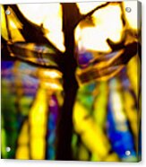 Color Aflame Acrylic Print