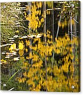 Colorado Changing Five Acrylic Print