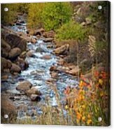 Colorado Fall Stream Acrylic Print