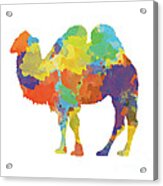Colorful Camel- Silhouette Print Acrylic Print