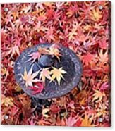 Colorful Ground Cover Acrylic Print