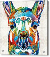 Colorful Llama Art - The Prince - By Sharon Cummings Acrylic Print