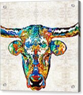 Colorful Longhorn Art By Sharon Cummings Acrylic Print