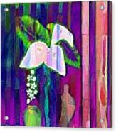 Colorful Calla Lily Still Life Acrylic Print