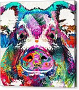 Colorful Pig Art - Squeal Appeal - By Sharon Cummings Acrylic Print