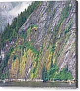 Colors Of Alaska - Misty Fjords Acrylic Print