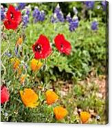 Colors Of Spring Acrylic Print