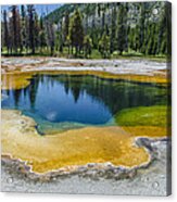 Colors Of Yellowstone Acrylic Print