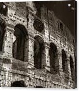 Colosseum Wall Acrylic Print