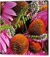 Cone Flowers And Mint Acrylic Print