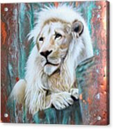 Copper White Lion Acrylic Print