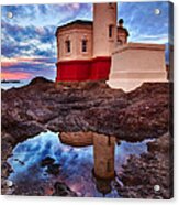 Coquille Rising Acrylic Print