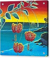 Coral Hibiscus Acrylic Print