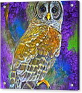 Cosmic Owl Acrylic Print