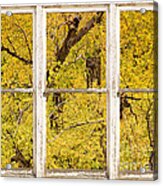 Cottonwood Fall Foliage Colors Rustic Farm Window View Acrylic Print
