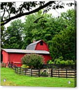 Country Barn Vineyard Acrylic Print