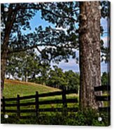 Country Fence Line Acrylic Print