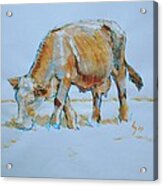 Cow Painting Acrylic Print