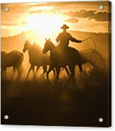 Cowboy With Lasso Herding Horses Oregon Acrylic Print