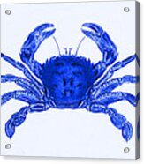 Crab - Blue Acrylic Print