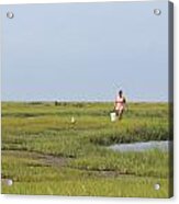 Crabbing At Mystic Island Acrylic Print