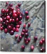 Cranberries And Lavender Buds Acrylic Print