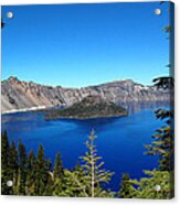 Crater Lake And Pine Trees Acrylic Print