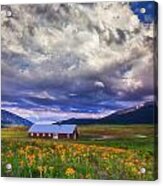 Crested Butte Morning Storm Acrylic Print