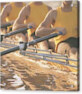 Crew Team Rowing A Scull Acrylic Print
