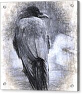 Crow Sketch Painterly Effect Acrylic Print