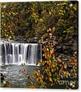 Cumberland Falls I Acrylic Print