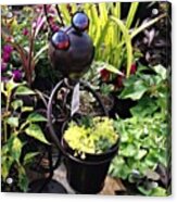 Cute Insect Planter! #plants #planters Acrylic Print