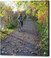 Cyclist In Parkland In Autumn Acrylic Print