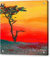 Cypress Sunrise Acrylic Print