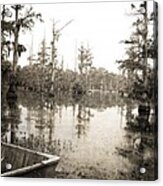 Cypress Swamp -sepia Acrylic Print