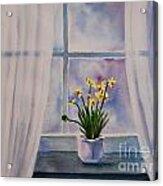 Daffodils In Window Acrylic Print