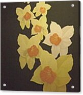 Daffodils Acrylic Print