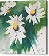 Daisy Print Acrylic Print