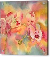 Dance Of The Orchids Acrylic Print