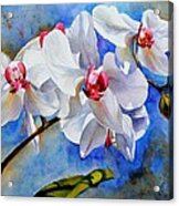 Dancing Orchids Acrylic Print