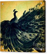 Dancing Peacock Gold Acrylic Print