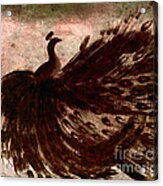 Dancing Peacock Grey Acrylic Print