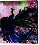 Dancing Peacock Rainbow Acrylic Print